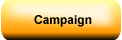 the Campaign